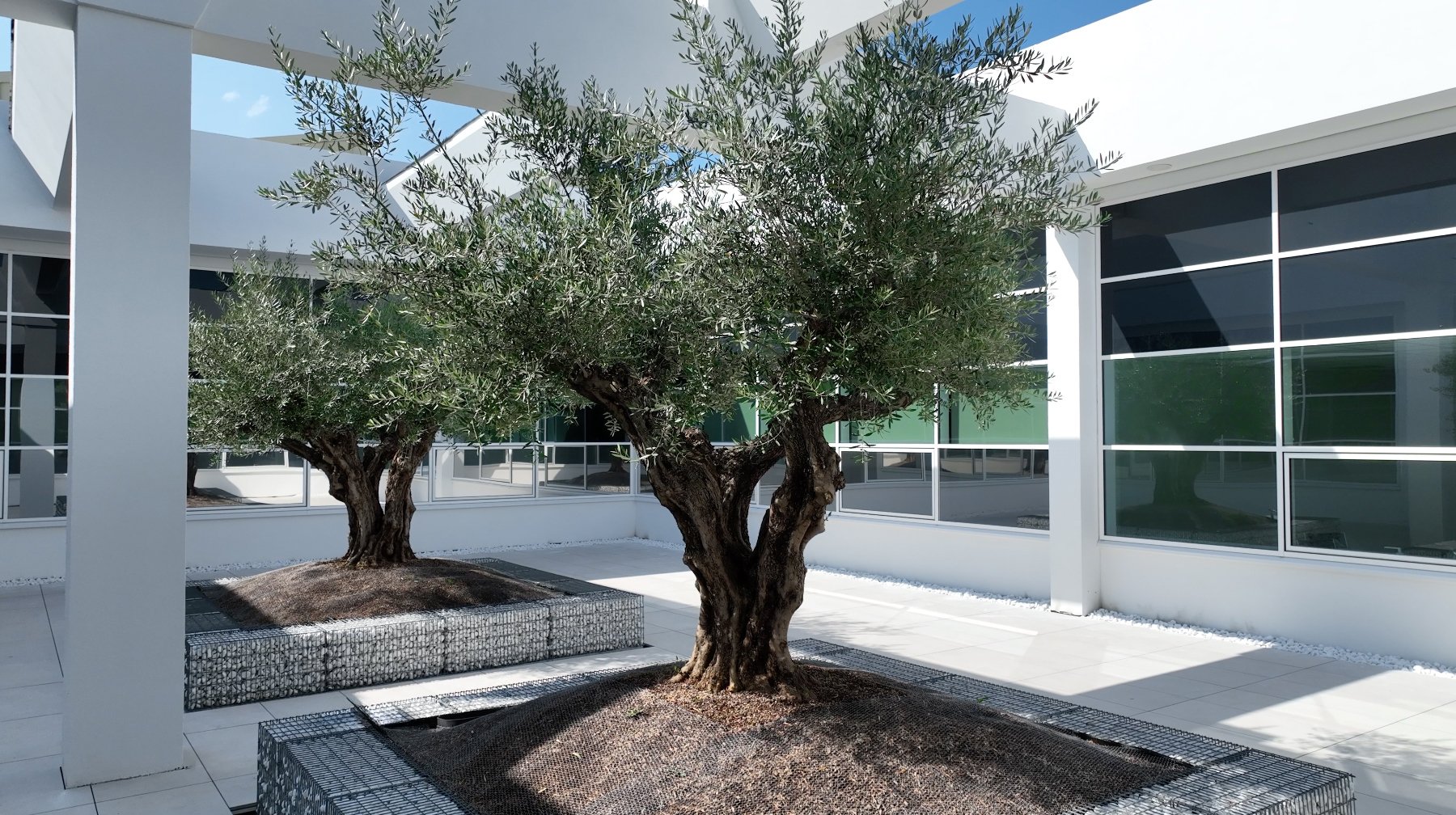 Headquarter Bologna - interno 4 ok