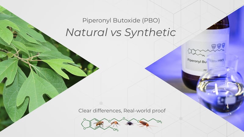 Four reasons to choose Synthetic over Natural Piperonyl Butoxide and why it matters long-term