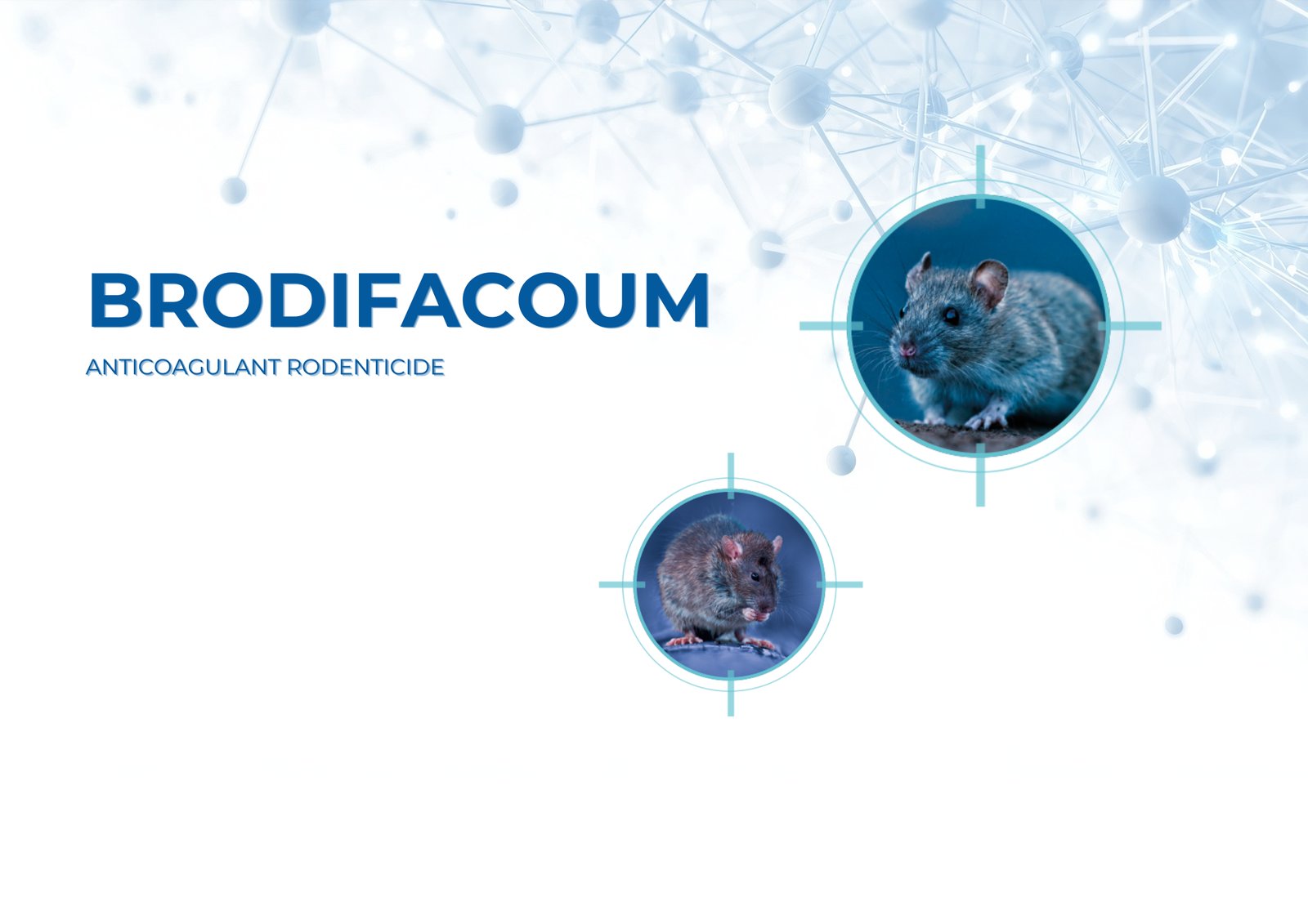 Brodifacoum: a trusted anticoagulant in Rodent Control