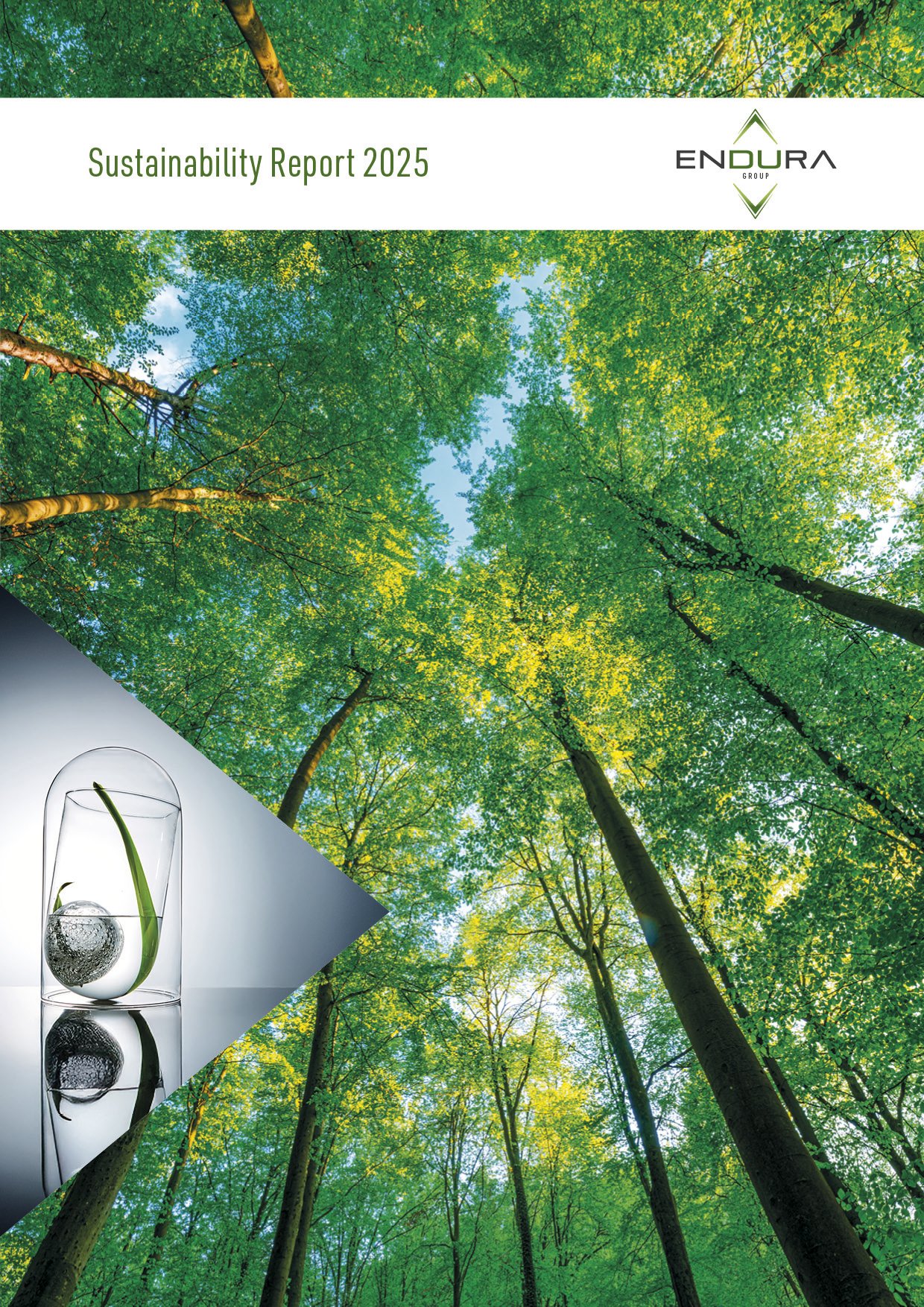 Sustainability Report 2025 