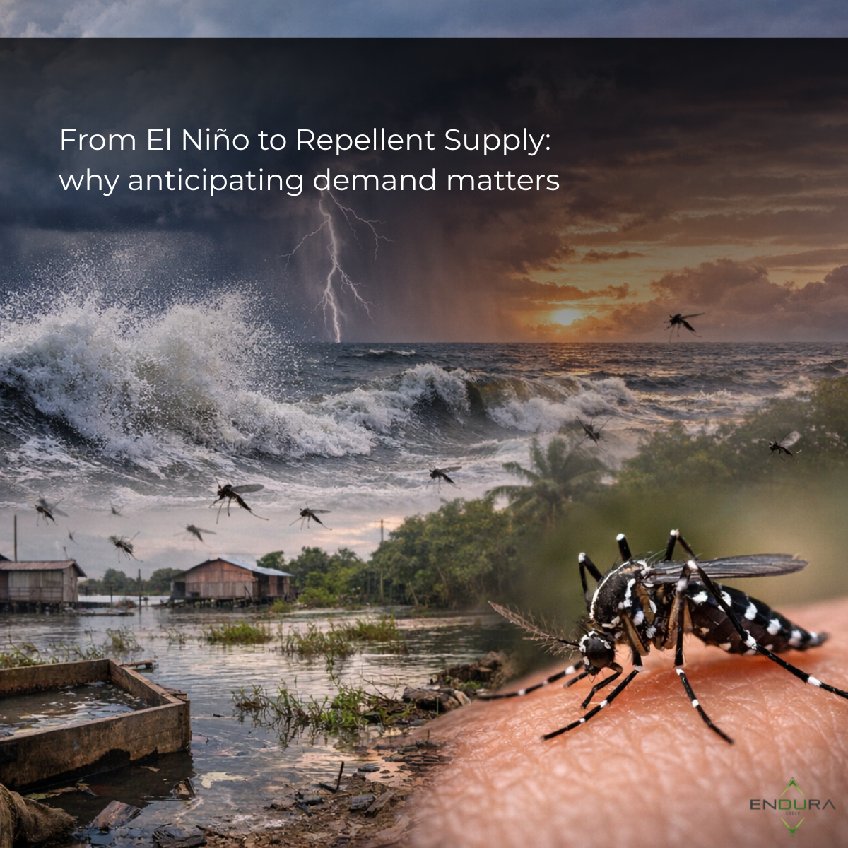 From El Niño to Repellent Supply: why anticipating demand matters