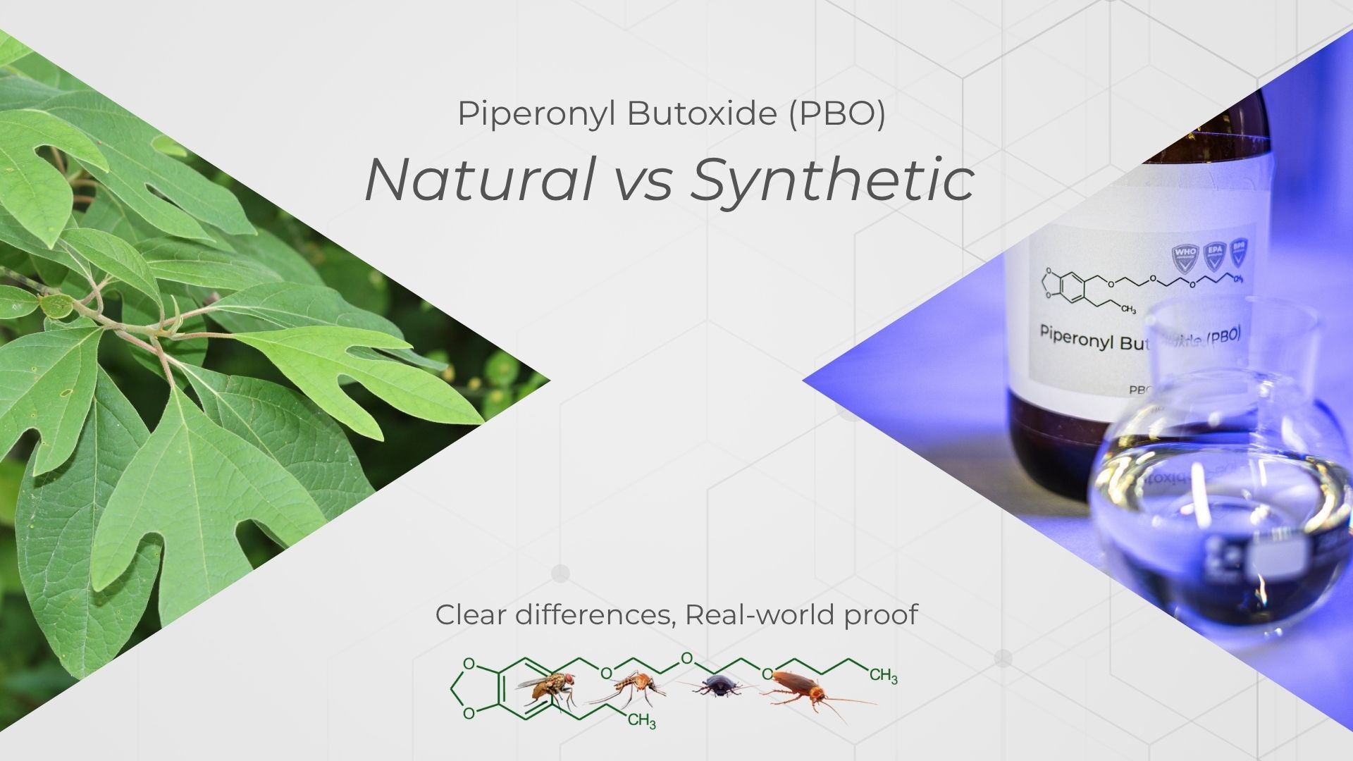 Four reasons to choose Synthetic over Natural Piperonyl Butoxide and why it matters long-term